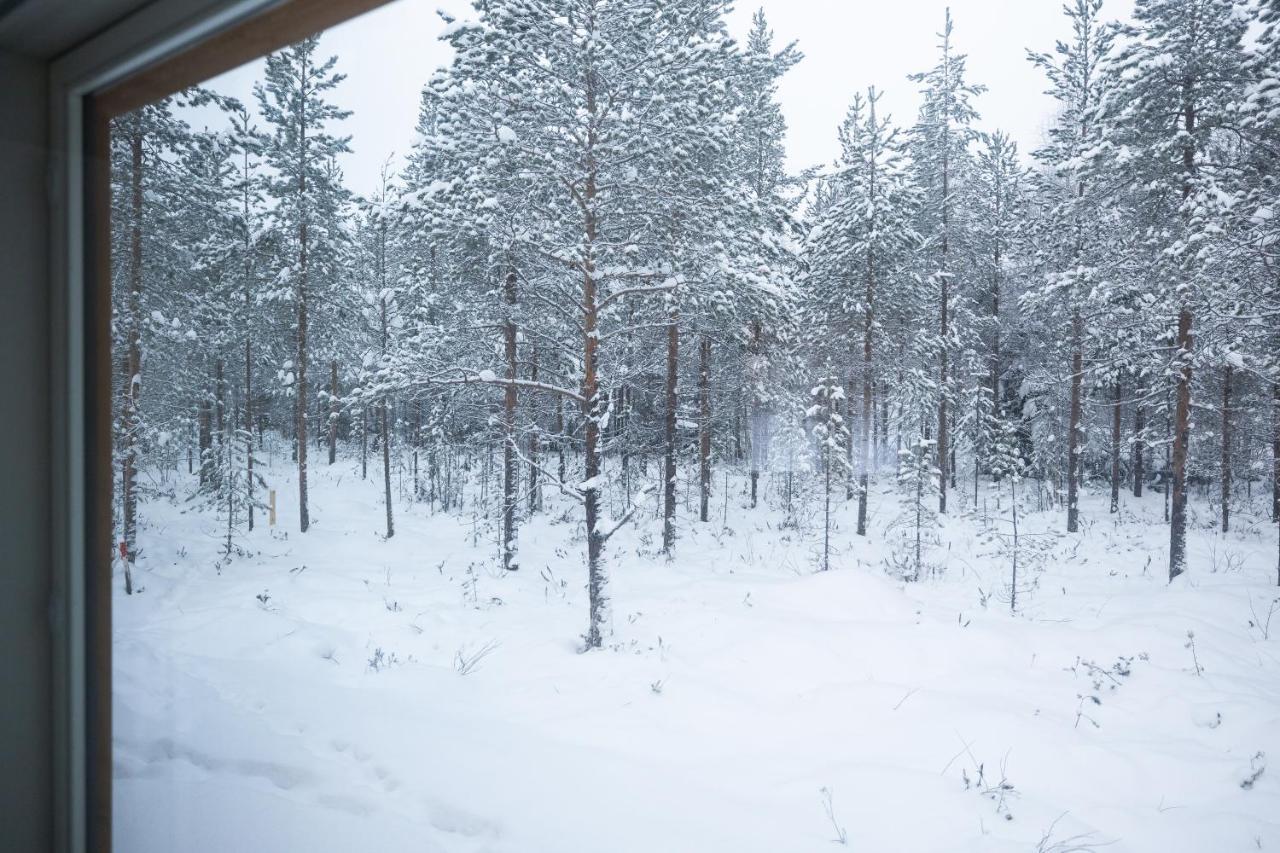 Premium Lapland Villa With Jaguzzi روفانييمي المظهر الخارجي الصورة